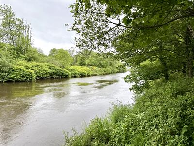 Picture 2